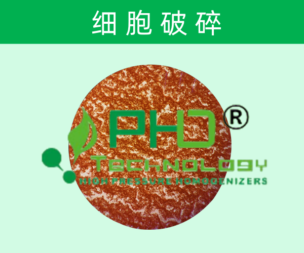 高壓細胞破碎儀-細胞處理優勢