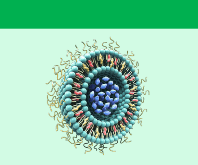 脂質(zhì)納米粒782X652.png