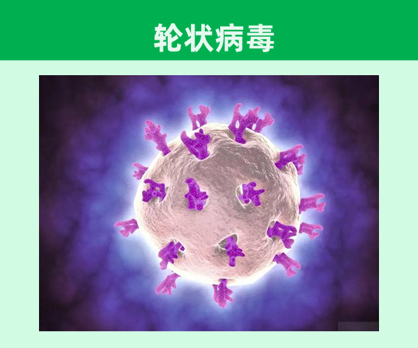 輪狀病毒疫苗