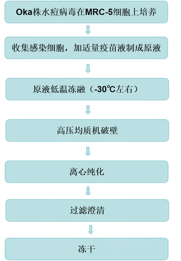 2、生產(chǎn)工藝.png