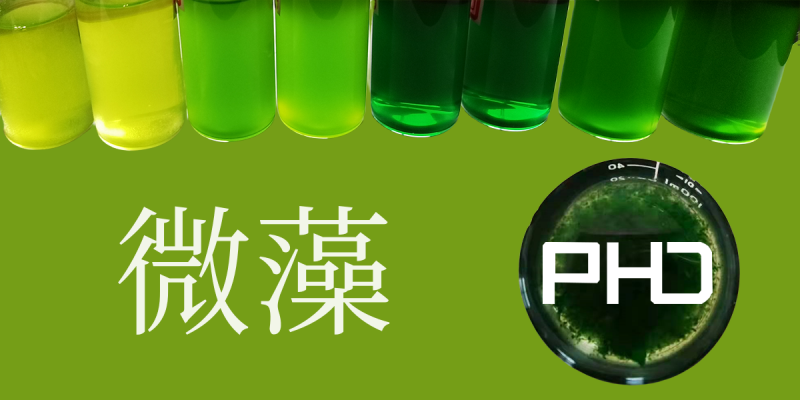 1 應用背景.png
