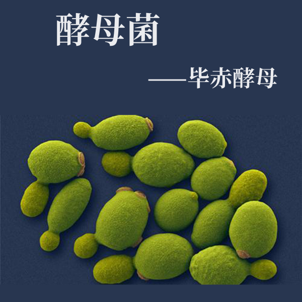 3、應用案例.png