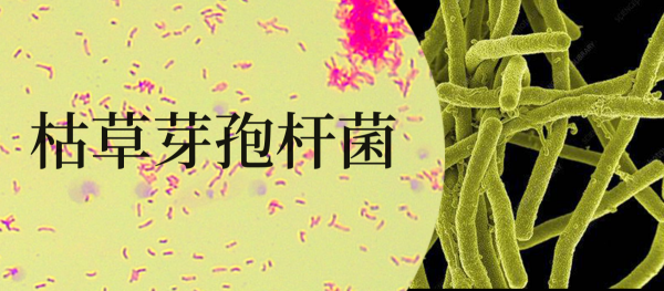 1、應用背景.png