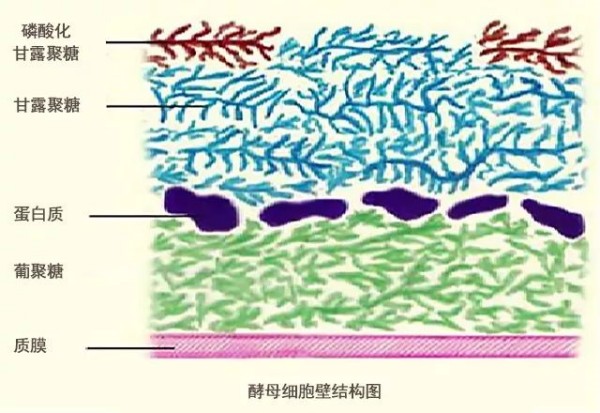 2、應用難點.jpg