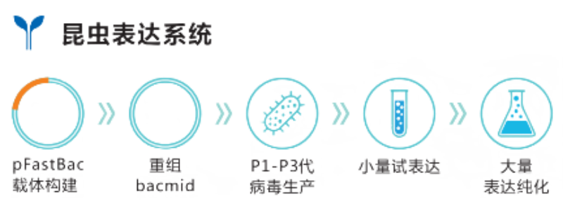 2、應用優勢.png